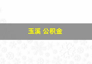 玉溪 公积金